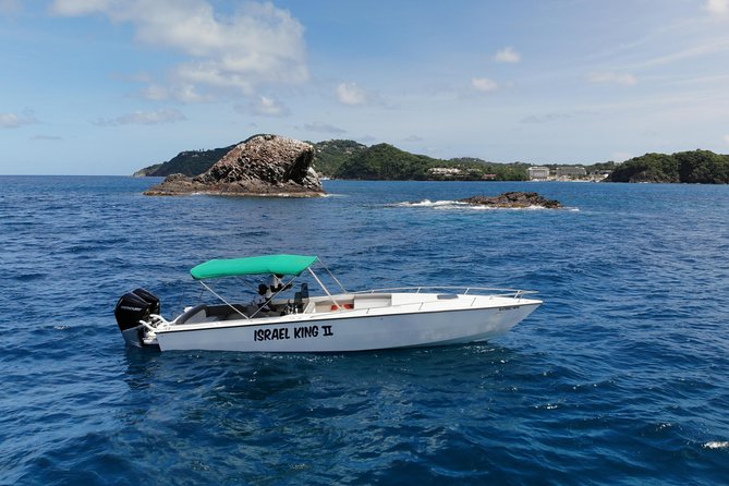 Private Half Day Charter: St Lucia Boat Tour to Soufriere - Rodney Bay Marina starts the day