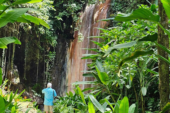 Private Island Tour St. Lucia - Canaries and the island’s chocolate connection