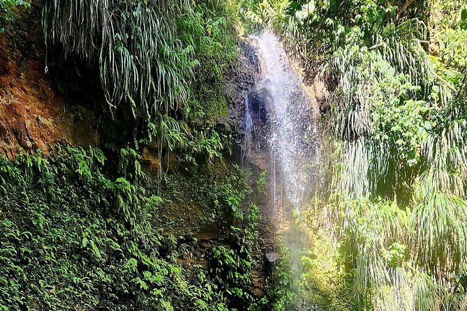 Private La Soufriere Drive-In Volcano Minibus Tour St Lucia - What the guides add to the day