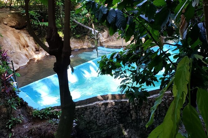 Private Saint Lucia Your Way Customize Tour- LUNCH INCLUDED - Rum, Bananas, Chocolate, and Local Food