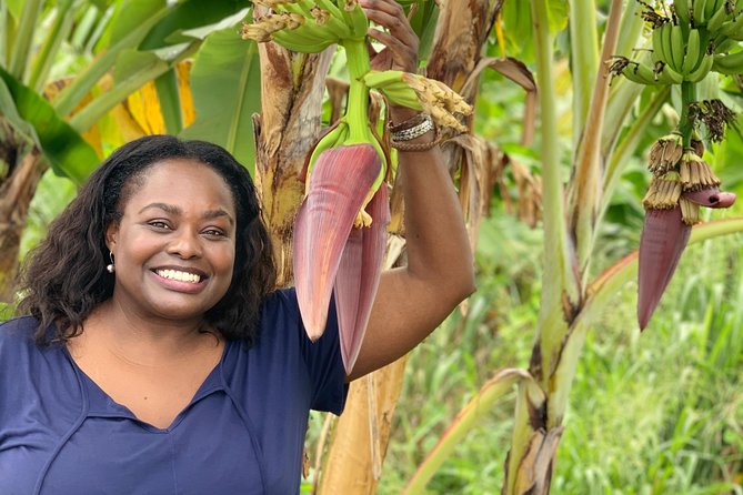 Private Soufriere Experience Tour - Sulphur Springs is the tour’s most unusual stop