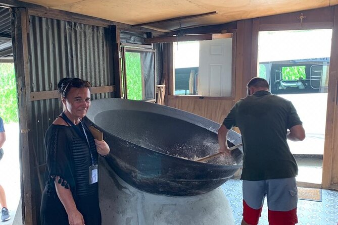 Private St Lucia Cruise Ship Excursion - Sulphur Springs, volcano sights, and the mud bath