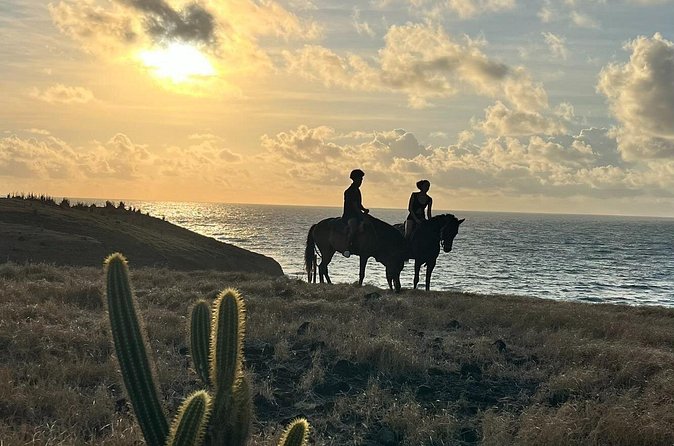 Private Sunrise Horseback Beach Ride with Sandy Hoofs St. Lucia - The $119 price and what you receive