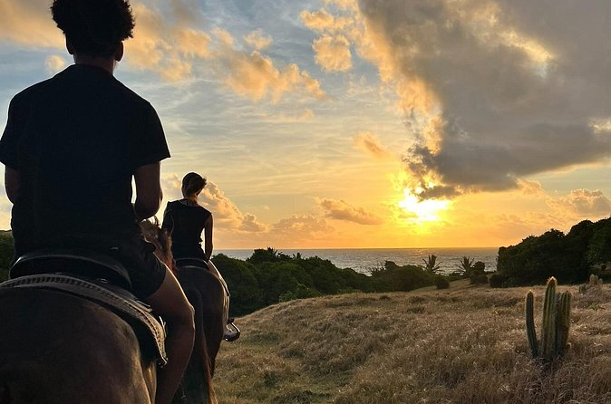 Private Sunrise Horseback Beach Ride with Sandy Hoofs St. Lucia - Who should book this St. Lucia ride