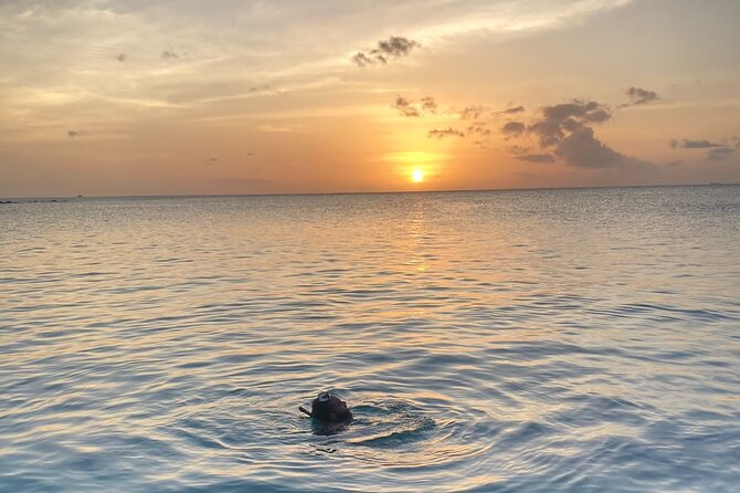 Private Sunset and Snorkel Cruise - Key points to know before booking