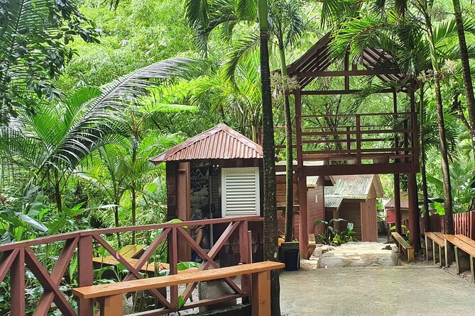 Private Tour of Sulphur Spring and Toraile Waterfall in Soufriere - Who will enjoy this Saint Lucia day most?