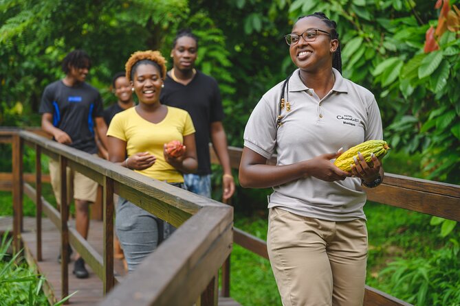 Project Chocolat Tree to Bar Tour at Hotel Chocolat Saint Lucia - Lunch with cacao on the menu