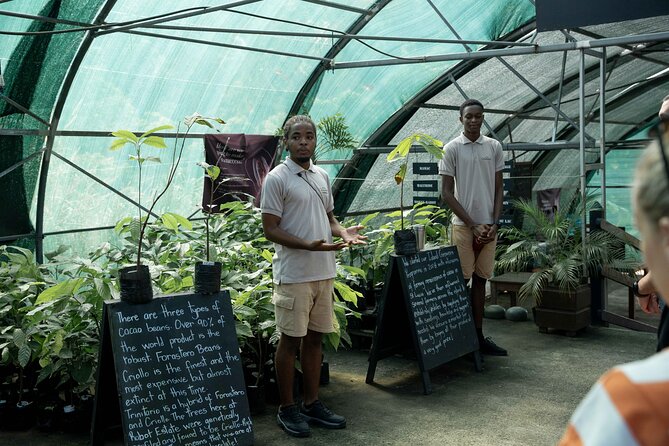 Project Chocolat Tree to Bar Tour at Hotel Chocolat Saint Lucia - Who will enjoy this most