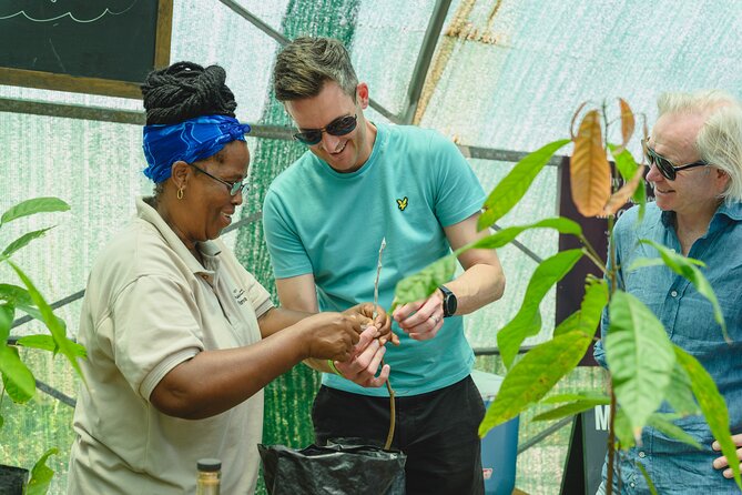 Project Chocolat Tree to Bar Tour at Hotel Chocolat Saint Lucia - Practical details that can save your day