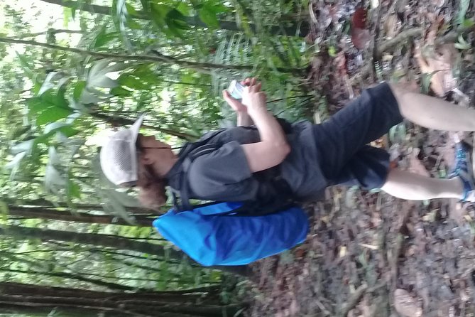 Rain forest and Bird watching - Cooling Off at a Waterfall or Marigot Bay