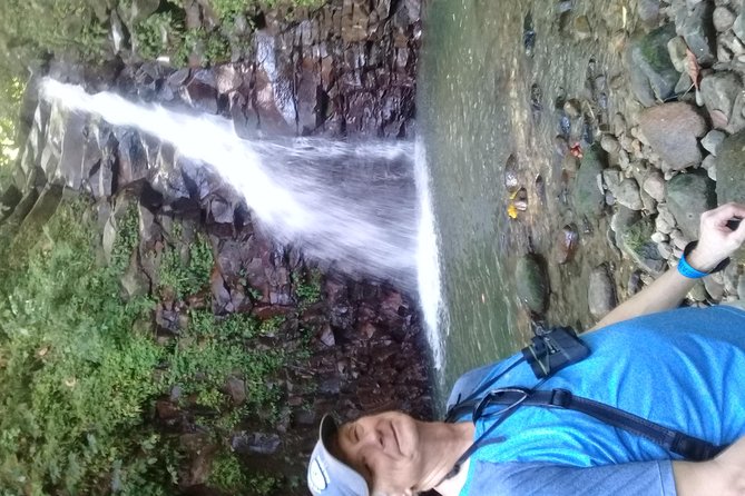 Rain forest and Bird watching - Banana Plantation, Rum Distillery, and Local Shops