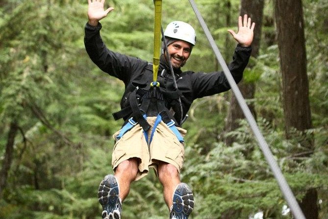 Rainforest Canopy Adventure from Vieux Fort or North Island, St Lucia - Key points before you book