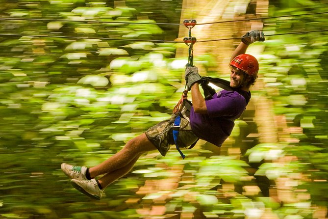 Rainforest Canopy Adventure from Vieux Fort or North Island, St Lucia - What the $105 price really covers