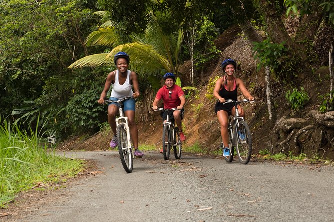 Rainforest Cycling Adventure in St. Lucia - Quick Reasons to Consider This Ride