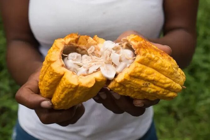 Rainforest Cycling Adventure in St. Lucia - Sault Falls Is the Payoff