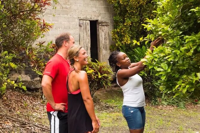 Rainforest Cycling Adventure in St. Lucia - The Return Ride Is Easier, Not Effortless