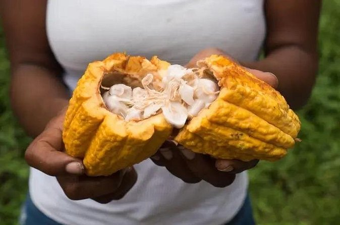 Rainforest Cycling Adventure in St. Lucia - What the $66.67 Price Really Buys