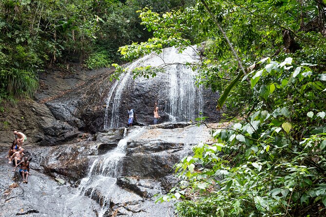 Rainforest Hike and Waterfall Safari - Key points to know before you book