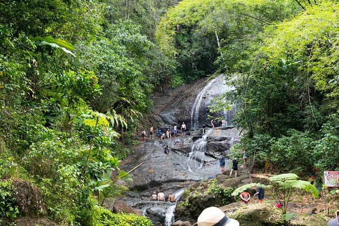 Rainforest Hike and Waterfall Safari - Fruit plantations and the changing west coast