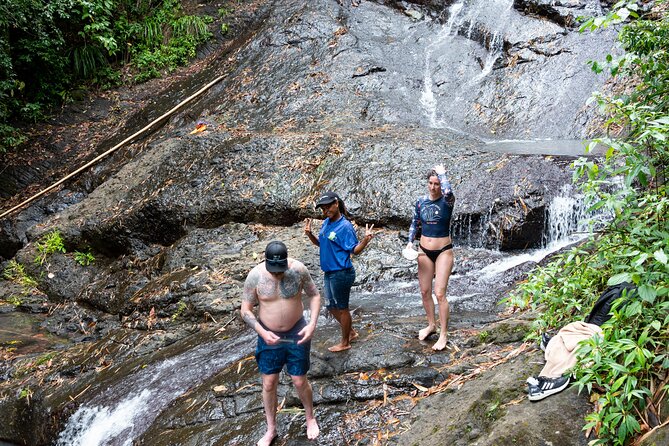 Rainforest Hike and Waterfall Safari - How much time do you really get?
