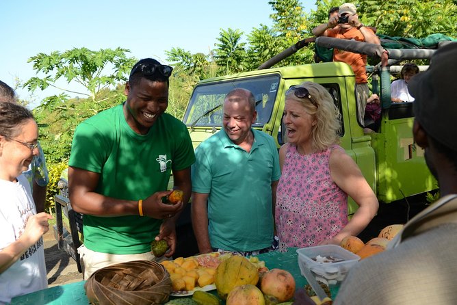 Rainforest Hike & Waterfall Safari St. Lucia From Castries - The open-top jeep ride through Castries and rural St. Lucia