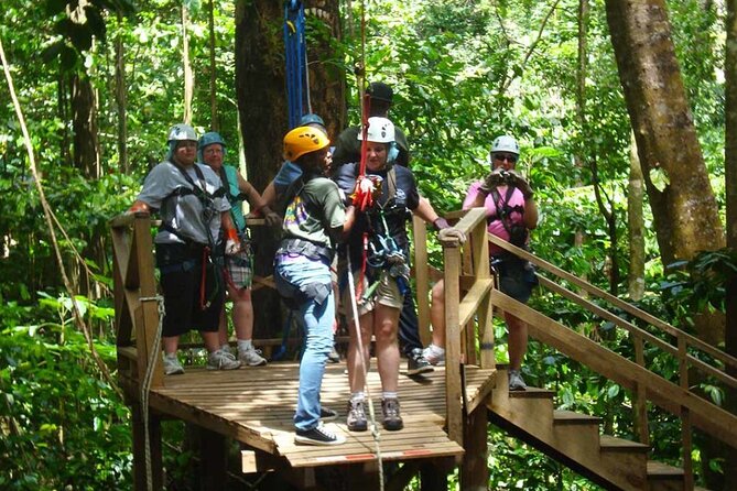 Rainforest Rush: St. Lucia Zip Line Adventure - Safety training before the first line
