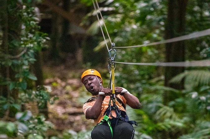 Rainforest Rush: St. Lucia Zip Line Adventure - The Tarzan swing adds a different kind of fear