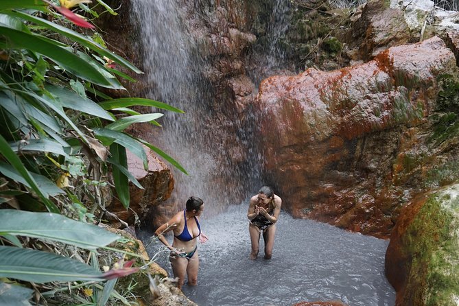 Rainforest Waterfall Adventure - Key things to know before booking
