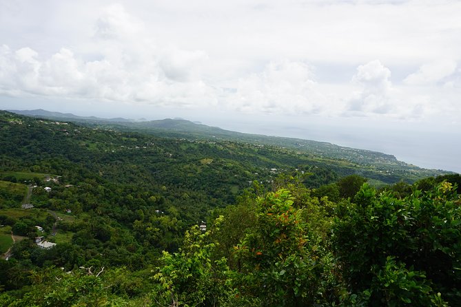 Rainforest Waterfall Adventure - Hiking through the Soufriere Marine Management Area