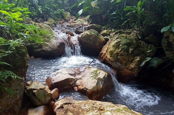 Rainforest Waterfall Adventure - Lunch near the falls