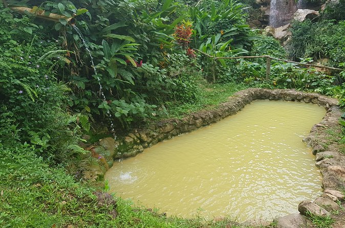 Rainforest Waterfall Adventure - Should you book Sapphire Falls?