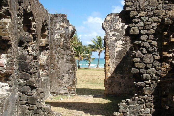 Rediut Beach OR Pigeon Island Beach Break Cruise Ship only Groups - Who Will Enjoy This Beach Break Most?