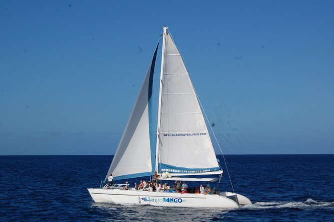 Rodney Bay to Soufriere Catamaran Transfer - What the longer day-tour comments tell you