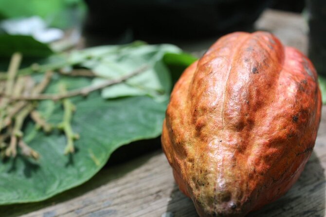 Rum & Chocolate Tasting Tour : Journey into Flavor - Key points to know before booking