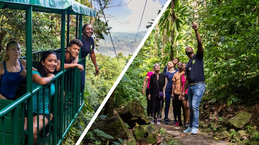 Saint Lucia: Aerial Tram Tour at Rainforest Adventures - Key points to know before you go
