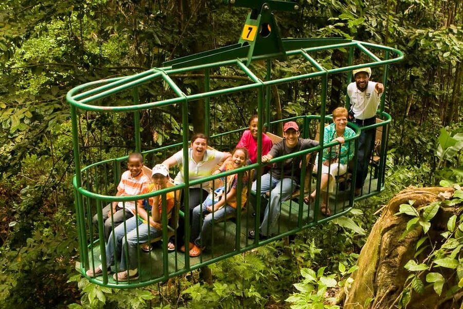 Saint Lucia: Aerial Tram Tour at Rainforest Adventures - What you can see above the canopy