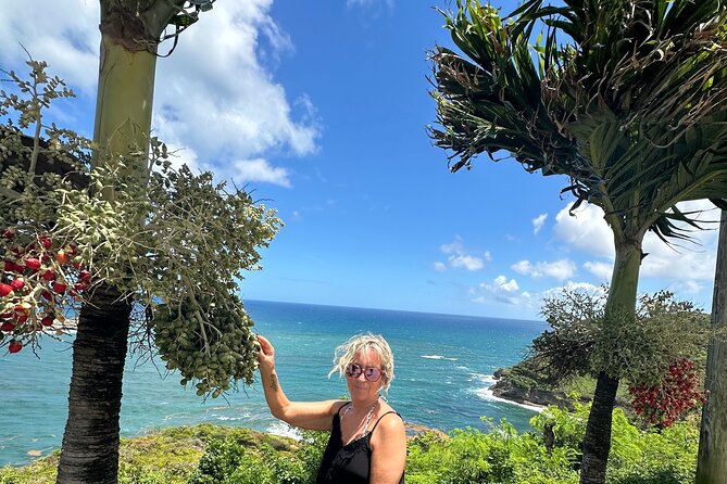 Saint Lucia Beach Tour with Free Entry - Why the air-conditioned vehicle matters