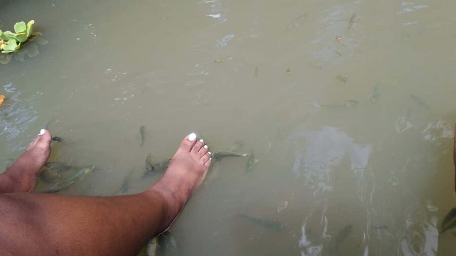 Saint Lucia: La Tille Falls Visit and Fish Foot Massage - Walking through the garden and rainforest