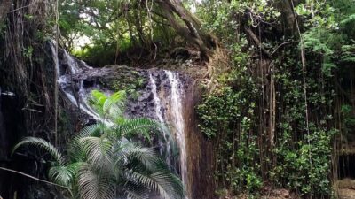 La Tille Falls Visit and Fish Foot Massage