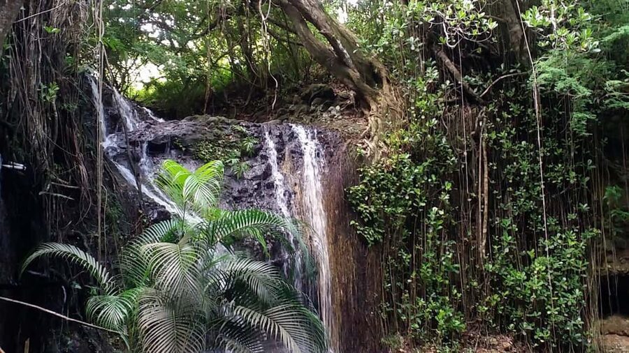 Saint Lucia: La Tille Falls Visit and Fish Foot Massage - Meeting the force of La Tille Falls