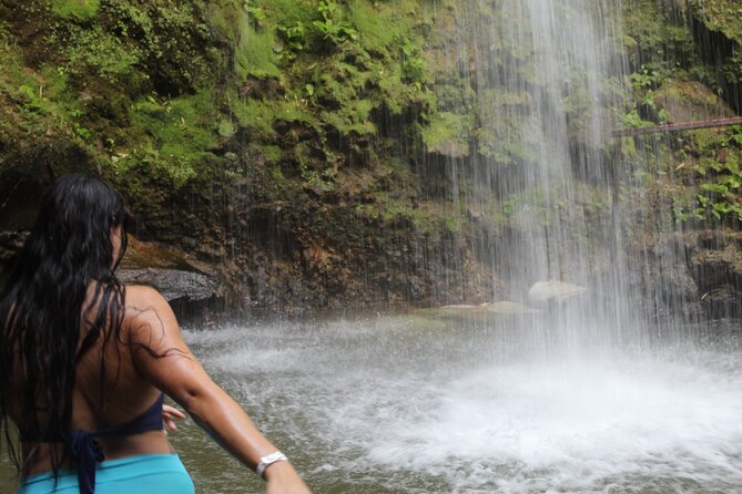 Saint Lucia Northern Food Tour - What the $180 price really covers