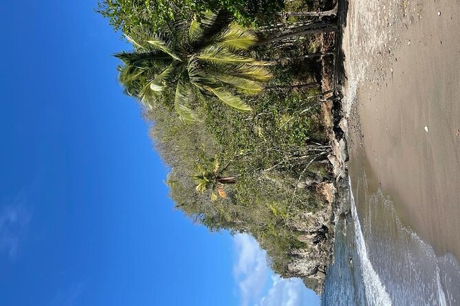 Saint Lucia Private East Coast Tour - Is $110 per person good value?