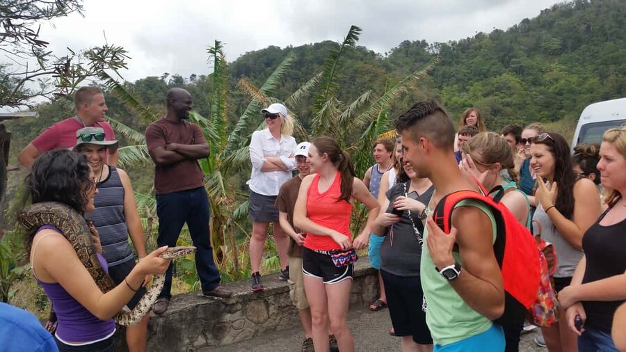 Saint Lucia: Private Island Tour with Customizable Itinerary - The road to the Pitons and Tet Paul Nature Trail