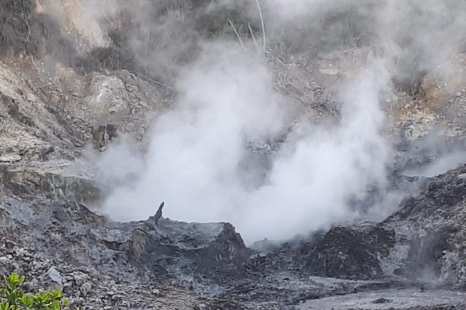 Saint Lucia Sulphur Springs Rejuvenating Mud Bath Tour - How much value do you get for $132?