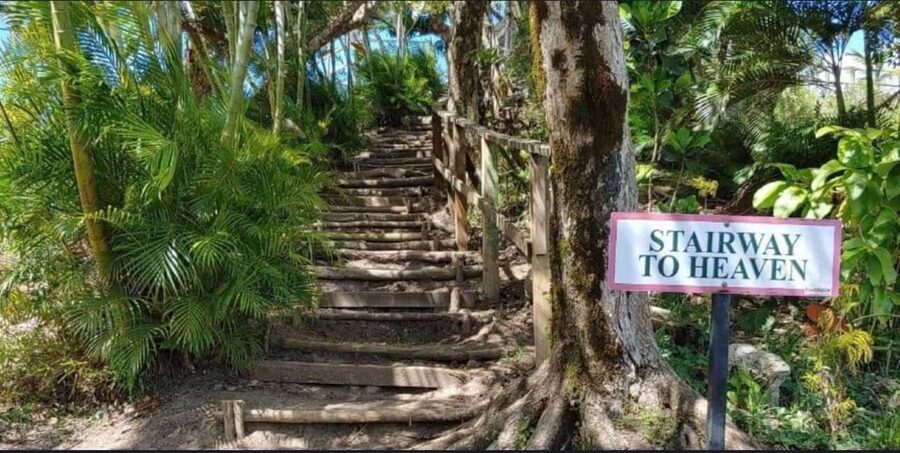 Saint Lucia: Tete Paul Nature Trail Hike & Waterfall Visit - Key points at a glance