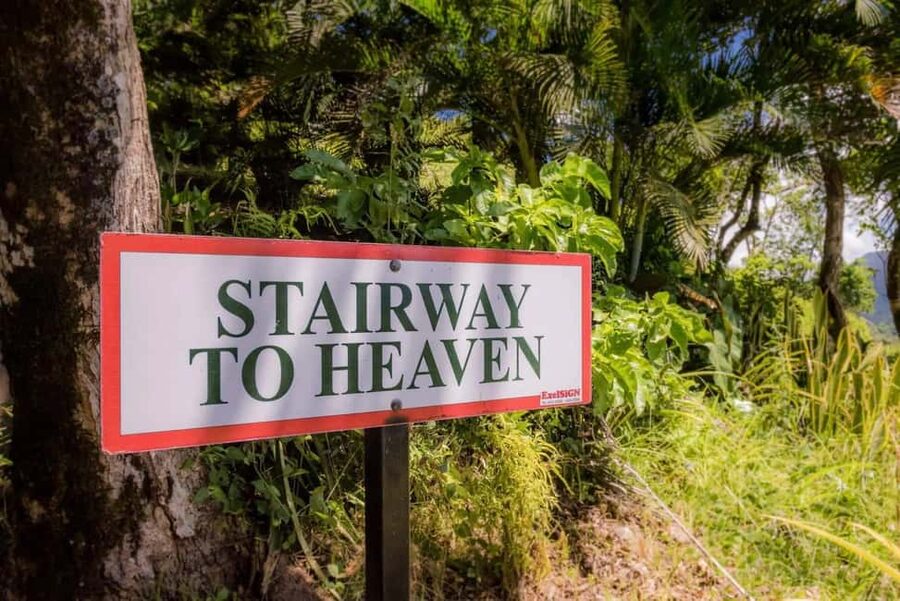 Saint Lucia: Tete Paul Nature Trail Hike & Waterfall Visit - What the $129 price really covers