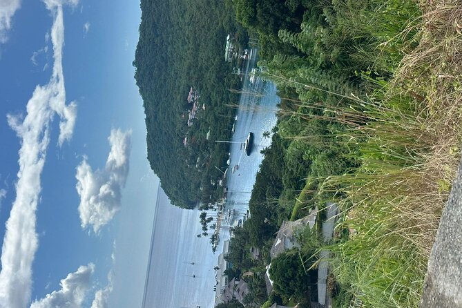 Saint Lucia West Coast Sightseeing Tour with Scenic Stops - What the private format changes