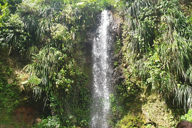 Scenic Tour of Soufriere - Canaries adds bread and village life