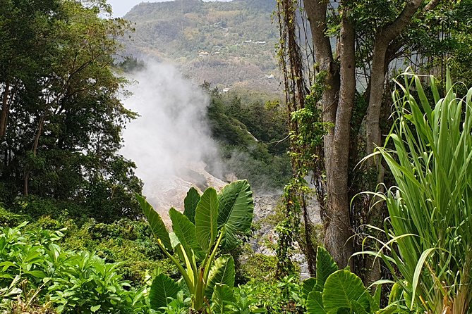Scenic Tour of Soufriere - Toraille Waterfall offers a quick rainforest swim