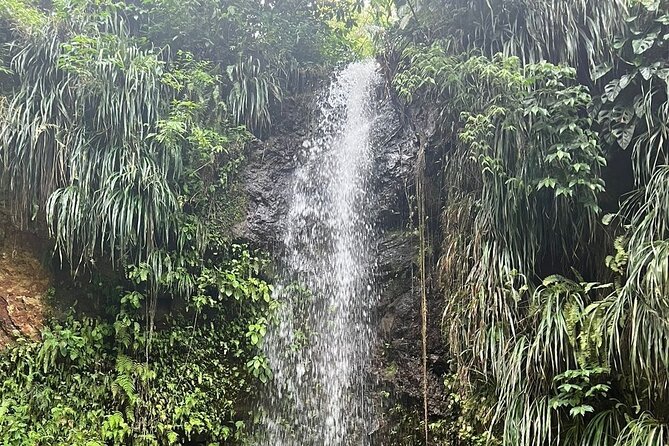 Sea and Land Tour in St. Lucia - Why the boat makes this St. Lucia tour worthwhile